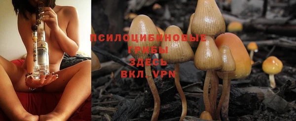 PSILOCYBIN Корсаков