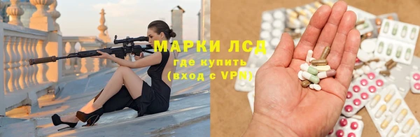 СК Коряжма
