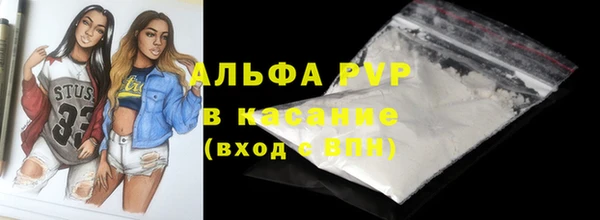 СК Коряжма