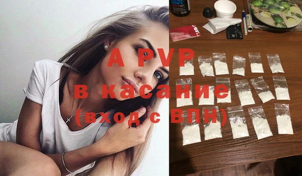 СК Коряжма