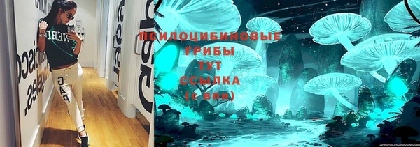PSILOCYBIN Корсаков