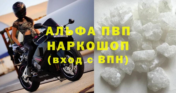СК Коряжма