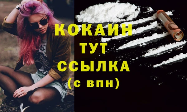 PSILOCYBIN Корсаков