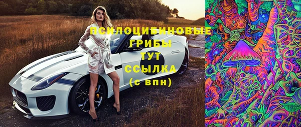 PSILOCYBIN Корсаков