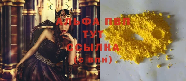 PSILOCYBIN Корсаков