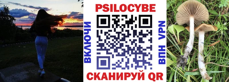 Купить закладки  Шилка  Галлюциногенные грибы мухоморы 