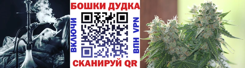 Купить закладки  Шилка  Бошки Шишки ГИДРОПОН 